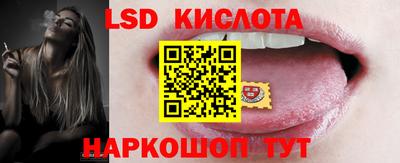 шишки Заволжье