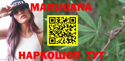 шишки Заволжье