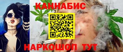 шишки Заволжье
