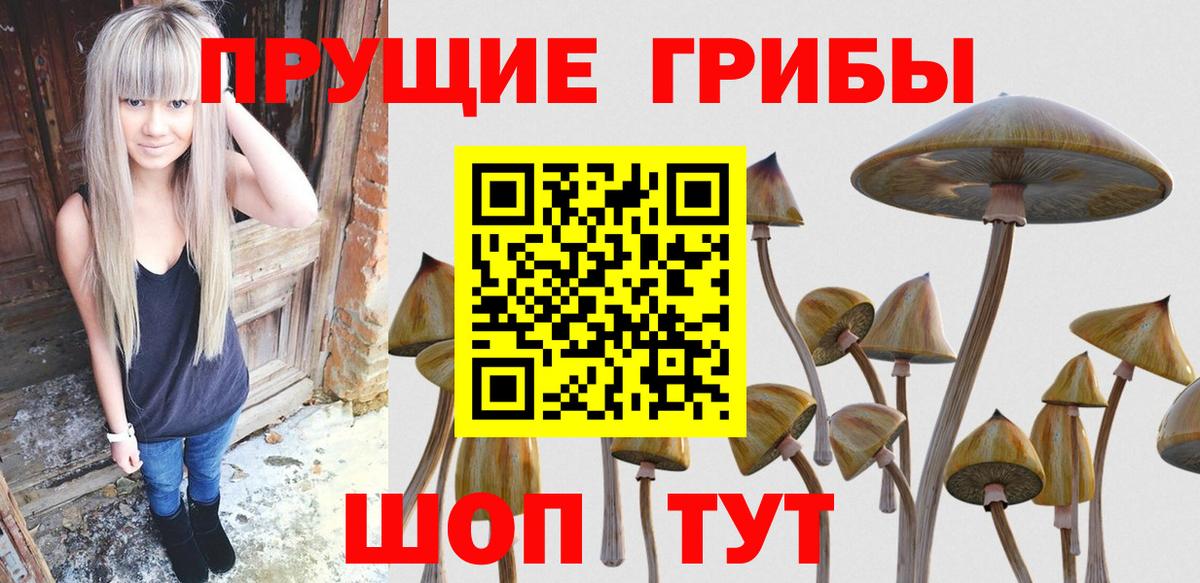 Кызыл  Псилоцибиновые грибы ЛСД  Галлюциногенные грибы прущие грибы  Вход с VPN 